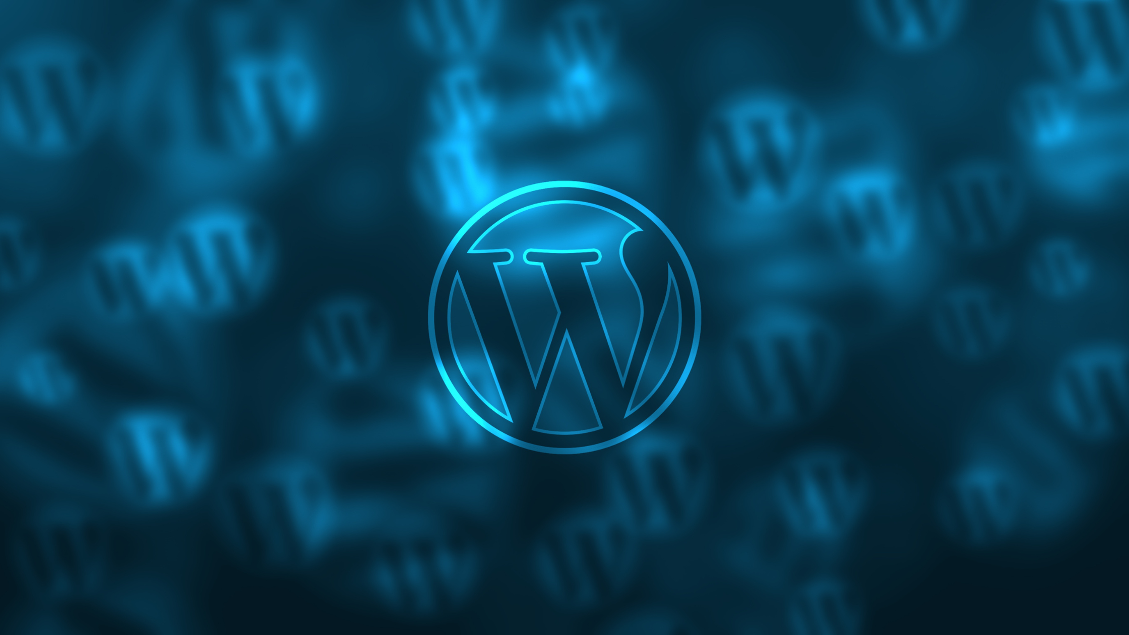 Wordpress SEO
