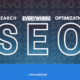 SEARCH EVERYWHERE OPTIMIZATION SEvO Agency