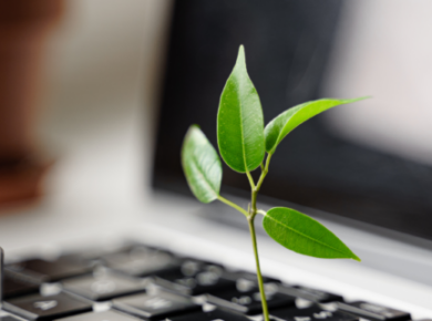 Sustainability and Marketing