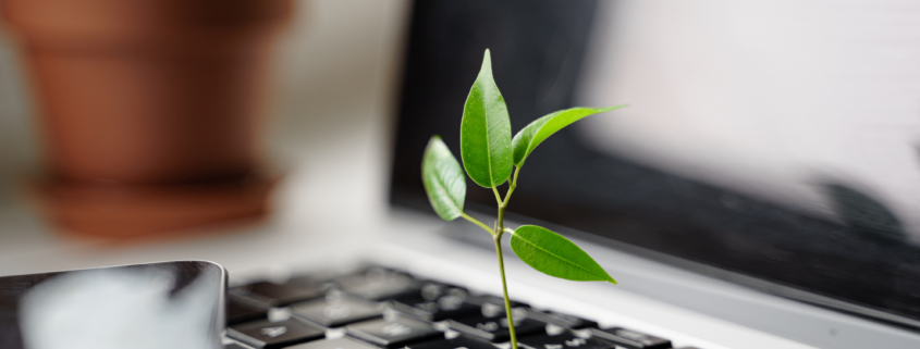 Sustainability and Marketing
